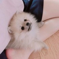 ๋ธ๋ฆฐ (@belovedfaker) 's Twitter Profile Photo ๋ธ๋ฆฐ (@belovedfaker) 's Twitter Profile Photo
