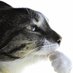 me (@username134523) Twitter profile photo me (@username134523) Twitter profile photo