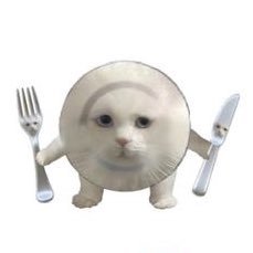 mokdori22's profile picture. 