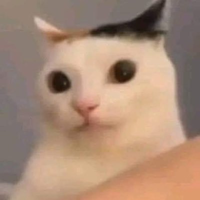 KaaiR03's profile picture. 