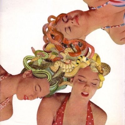 ofiuco101's profile picture. Astrología Astronómica | Todo sobre Ofiuco #truesiderealastrology