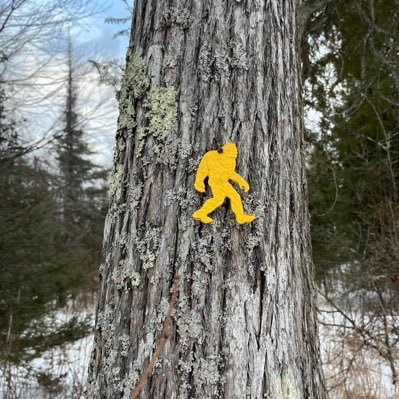 khaeussk's profile picture. 