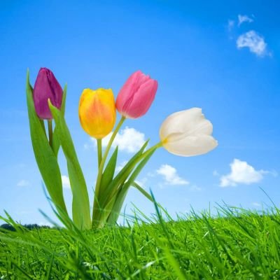 Bharathi779's profile picture. 