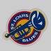 Stl Blues Fan 2025 (@stlbluesfan2025) Twitter profile photo