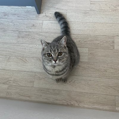 ahnsinyoung's profile picture. 