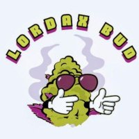 MIAMI SMOKES💸⛽❄ (@landsmokk) 's Twitter Profile