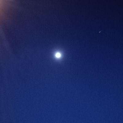 NicolasBri56110's profile picture. meuf ou homme colab pour faire des contenus x c'est en privé