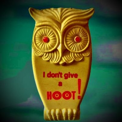 KKaltersee's profile picture. 