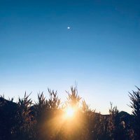 耕耘者 (@panglao21000) 's Twitter Profile