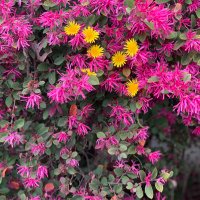 Julie Ann Masters (@mastersjulie68) 's Twitter Profile