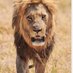 kimsesiz kemal (@hakanha66404651) Twitter profile photo kimsesiz kemal (@hakanha66404651) Twitter profile photo