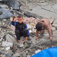mahmoud Fayad (@fayad993mahmoud) 's Twitter Profile