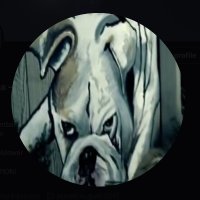 BadDog SantaClaus -- aka KHGreeneE (@loserfuhrer) 's Twitter Profile