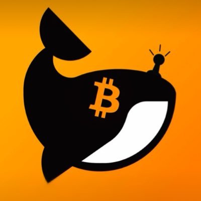 simjusig16885's profile picture. 스택앤삿츠, 비트코인 호들러