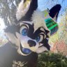 Electr0_m0nster's profile picture. 22 male 🇭🇺Hungarian furry, love hugs :3 husky boio🏳️‍🌈 new 🐶suit owner ^^ 🎾🎈