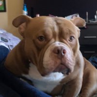 Mike Jones (@mike44_shotta) 's Twitter Profile