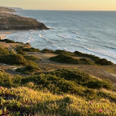 LeonorBasilioo's profile picture. Recuperei a conta :)