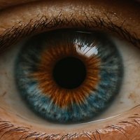 hot Eyestuff (@hoteyestuff) 's Twitter Profile Photo hot Eyestuff (@hoteyestuff) 's Twitter Profile Photo