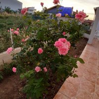 seyfi gani (@ganiseyfi84023) Twitter profile photo