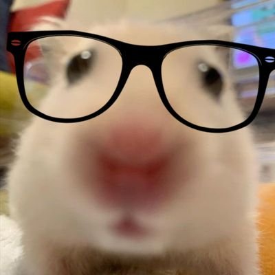 wanja221__'s profile picture. 🦧