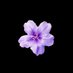 Violet Lee ๐ YVR April 14th-21st (@msvioletlee) Twitter profile photo Violet Lee ๐ YVR April 14th-21st (@msvioletlee) Twitter profile photo