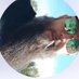 Jonny (@jonny555666) Twitter profile photo Jonny (@jonny555666) Twitter profile photo