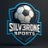 silveronesports's profile image