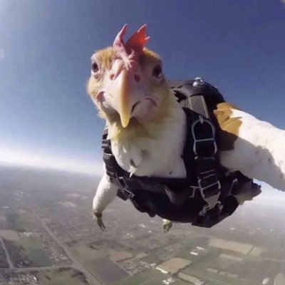 kate75798648's profile picture. 