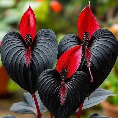 GonzalezNo66526's profile picture. 