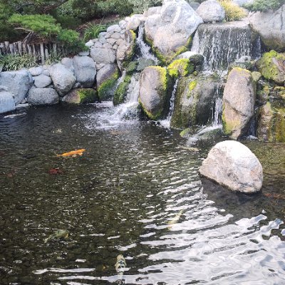 GoodContent20's profile picture. Just Looking for that good good content