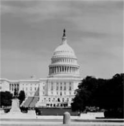 Xouoovwou33779's profile picture. 