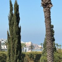 Seyma Anbarci (@e013b58cc68e4bd) 's Twitter Profile Photo Seyma Anbarci (@e013b58cc68e4bd) 's Twitter Profile Photo
