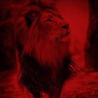 Özel mi (@yasar243185) Twitter profile photo