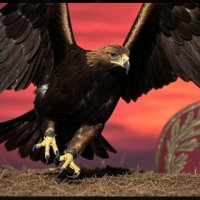 Indómitos (@anthons3) 's Twitter Profile
