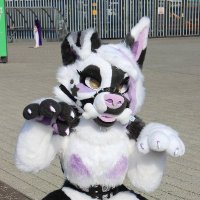Bailey (@baileystarpup) 's Twitter Profile Photo Bailey (@baileystarpup) 's Twitter Profile Photo