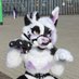 Bailey (@baileystarpup) Twitter profile photo Bailey (@baileystarpup) Twitter profile photo