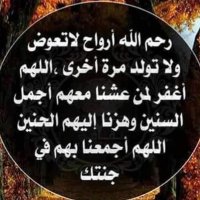 Mr Mohamed Hassan (@m7assan77) 's Twitter Profile