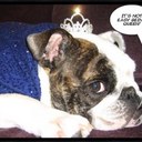 paula shea - @SheaPaula - Twitter