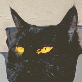 jenniejenjeno's profile picture. No idea what I'm doing here. Is this thing on?🎙
🖤 Lover of: music, fashion, dance, passion, art, vintage everything, pretty words, more music & romance 💋