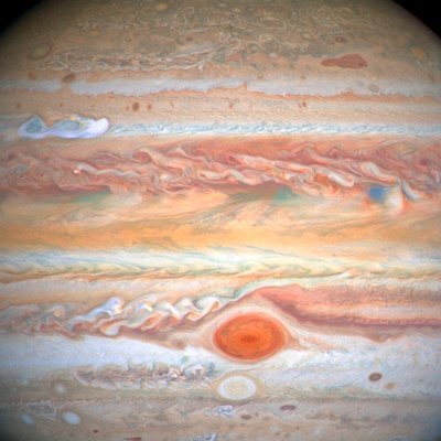 seagermaxwell's profile picture. #GAIN28