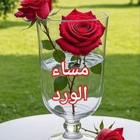 ياسمين (@ysmyn888071) Twitter profile photo