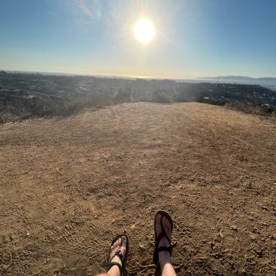 timmeh4242's profile picture. making games, vr, music, blinky lights