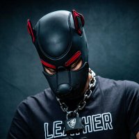 𝐒𝐭𝐨𝐫𝐦𝐖𝐨𝐥𝐟 | ⚡️🐺 | 🔜 Brussels Pride (@stormwolfbe) 's Twitter Profile