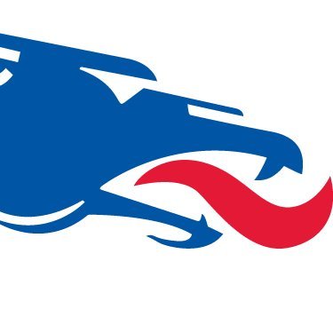 Blue Dragon Men's Basketball Profile