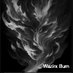 Wazirx Burn (@nurnbwazirix10) Twitter profile photo Wazirx Burn (@nurnbwazirix10) Twitter profile photo