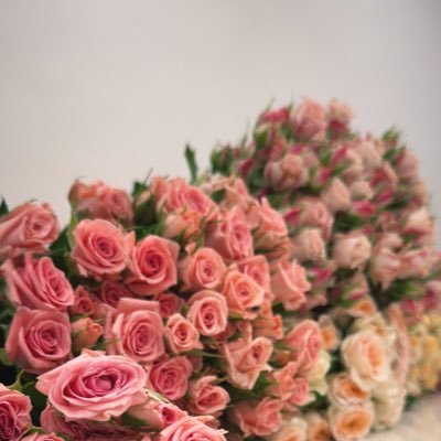 amani111gh's profile picture. 