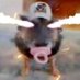 kerfli (@kerfli_) Twitter profile photo kerfli (@kerfli_) Twitter profile photo