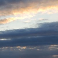 Gogogo (@gogogo47066286) 's Twitter Profile Photo