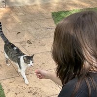 Hayley Alice (@chierlloyd) 's Twitter Profile