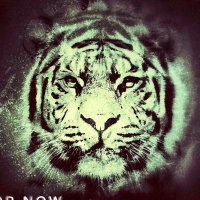 Arcane-Gel (@arcanegel_4real) 's Twitter Profile Photo Arcane-Gel (@arcanegel_4real) 's Twitter Profile Photo